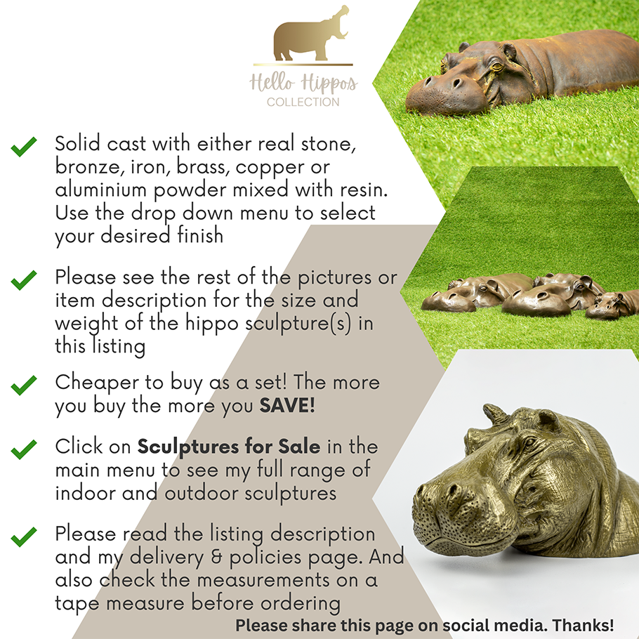 Indoor Hippo Sculptures Infographic